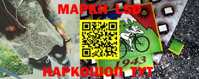 сатива Славгород