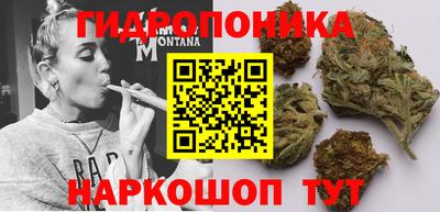 сатива Славгород