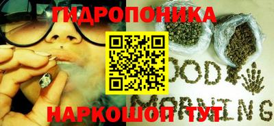 сатива Славгород
