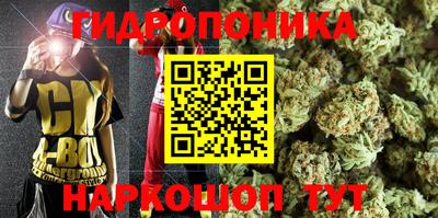 сатива Славгород