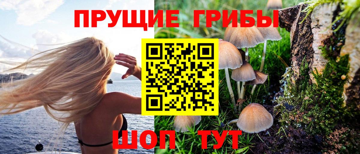 Псилоцибиновые грибы мицелий  Псилоцибиновые грибы Psilocybe  Новочебоксарск  наркошоп  Вход с VPN 